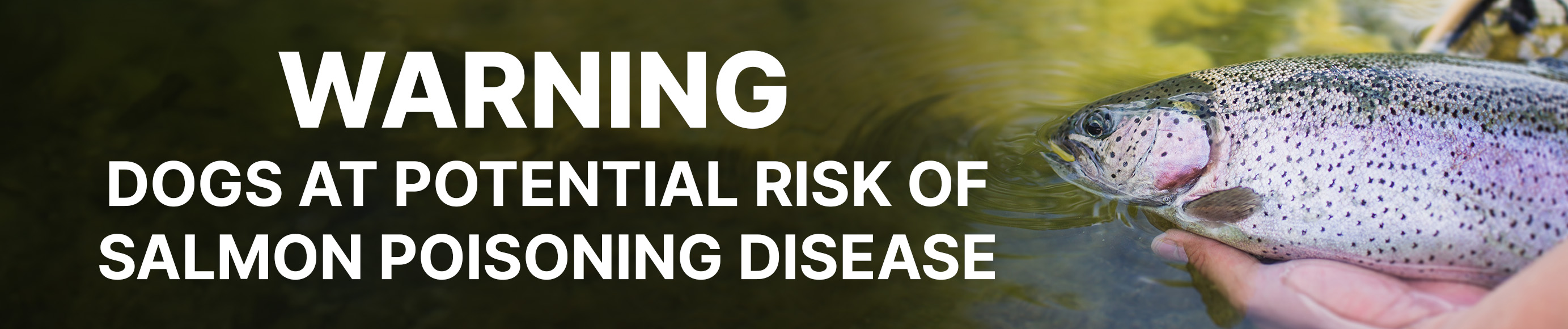 Warning Banner Warning Banner